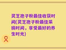 灵芝孢子粉最佳收获时间(灵芝孢子粉最佳采摘时间，享受最好的养生时光)
