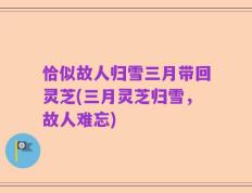 恰似故人归雪三月带回灵芝(三月灵芝归雪，故人难忘)