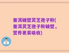 普洱破壁灵芝孢子粉(普洱灵芝孢子粉破壁，营养更易吸收)