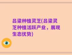 吕梁种植灵芝(吕梁灵芝种植活跃产业，展现生态优势)