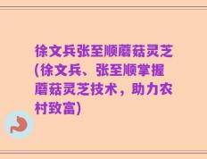 徐文兵张至顺蘑菇灵芝(徐文兵、张至顺掌握蘑菇灵芝技术，助力农村致富)