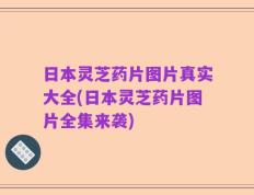 日本灵芝药片图片真实大全(日本灵芝药片图片全集来袭)