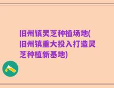旧州镇灵芝种植场地(旧州镇重大投入打造灵芝种植新基地)