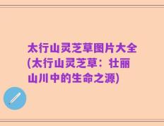 太行山灵芝草图片大全(太行山灵芝草：壮丽山川中的生命之源)