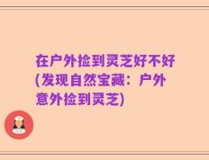 在户外捡到灵芝好不好(发现自然宝藏：户外意外捡到灵芝)