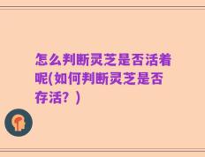 怎么判断灵芝是否活着呢(如何判断灵芝是否存活？)