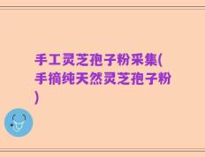 手工灵芝孢子粉采集(手摘纯天然灵芝孢子粉)