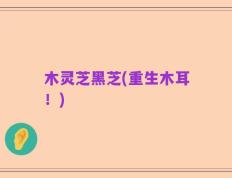 木灵芝黑芝(重生木耳！)