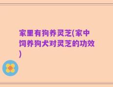 家里有狗养灵芝(家中饲养狗犬对灵芝的功效)