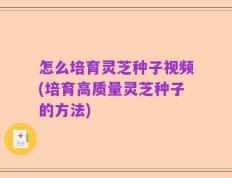 怎么培育灵芝种子视频(培育高质量灵芝种子的方法)