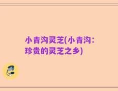 小青沟灵芝(小青沟：珍贵的灵芝之乡)