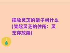 摆放灵芝的架子叫什么(架起灵芝的住所：灵芝存放架)