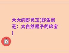 大大的野灵芝(野生灵芝：大自然赐予的珍宝)