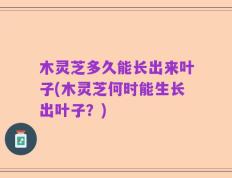 木灵芝多久能长出来叶子(木灵芝何时能生长出叶子？)