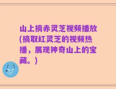 山上摘赤灵芝视频播放(摘取红灵芝的视频热播，展现神奇山上的宝藏。)