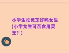 小学生吃灵芝好吗女生(小学女生可否食用灵芝？)