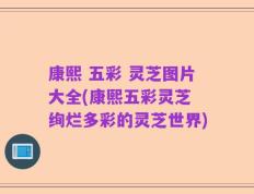 康熙 五彩 灵芝图片大全(康熙五彩灵芝 绚烂多彩的灵芝世界)
