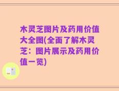 木灵芝图片及药用价值大全图(全面了解木灵芝：图片展示及药用价值一览)