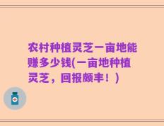 农村种植灵芝一亩地能赚多少钱(一亩地种植灵芝，回报颇丰！)