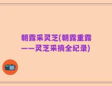 朝露采灵芝(朝露重露——灵芝采摘全纪录)