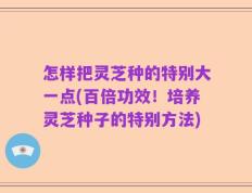 怎样把灵芝种的特别大一点(百倍功效！培养灵芝种子的特别方法)