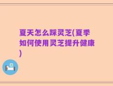 夏天怎么踩灵芝(夏季如何使用灵芝提升健康)