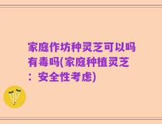 家庭作坊种灵芝可以吗有毒吗(家庭种植灵芝：安全性考虑)