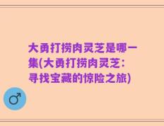 大勇打捞肉灵芝是哪一集(大勇打捞肉灵芝：寻找宝藏的惊险之旅)
