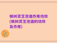枫树灵芝泡酒作用功效(枫树灵芝泡酒的功效及作用)