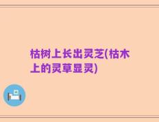 枯树上长出灵芝(枯木上的灵草显灵)