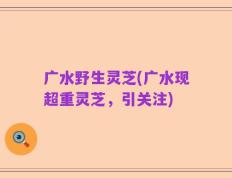 广水野生灵芝(广水现超重灵芝，引关注)