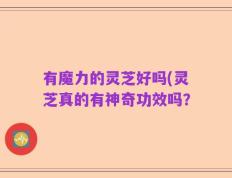 有魔力的灵芝好吗(灵芝真的有神奇功效吗？