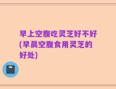 早上空腹吃灵芝好不好(早晨空腹食用灵芝的好处)