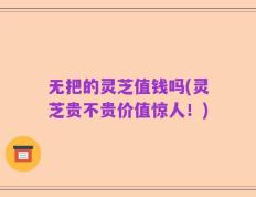 无把的灵芝值钱吗(灵芝贵不贵价值惊人！)