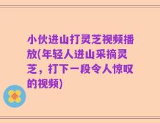 小伙进山打灵芝视频播放(年轻人进山采摘灵芝，打下一段令人惊叹的视频)