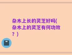 杂木上长的灵芝好吗(杂木上的灵芝有何功效？)