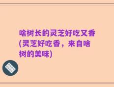 啥树长的灵芝好吃又香(灵芝好吃香，来自啥树的美味)