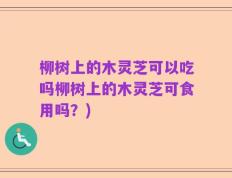 柳树上的木灵芝可以吃吗柳树上的木灵芝可食用吗？)