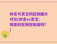 树舌与灵芝的区别图片对比(树舌vs灵芝：明显的区别你知道吗？)
