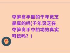 夺笋高手里的千年灵芝是真的吗(千年灵芝在夺笋高手中的功效真实可信吗？)
