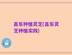 昌乐种植灵芝(昌乐灵芝种植实践)
