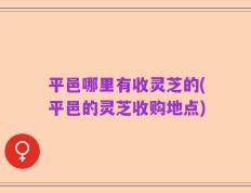 平邑哪里有收灵芝的(平邑的灵芝收购地点)