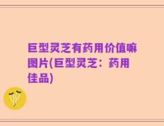 巨型灵芝有药用价值嘛图片(巨型灵芝：药用佳品)