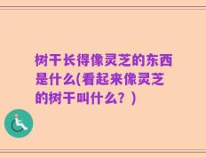 树干长得像灵芝的东西是什么(看起来像灵芝的树干叫什么？)