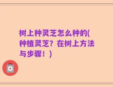 树上种灵芝怎么种的(种植灵芝？在树上方法与步骤！)