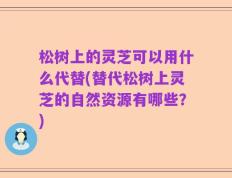 松树上的灵芝可以用什么代替(替代松树上灵芝的自然资源有哪些？)