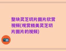 整块灵芝切片图片欣赏视频(观赏精美灵芝切片图片的视频)