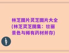 林芝图片灵芝图片大全(林芝灵芝图集：壮丽景色与稀有药材并存)