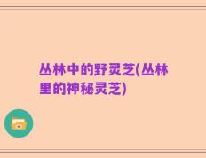 丛林中的野灵芝(丛林里的神秘灵芝)