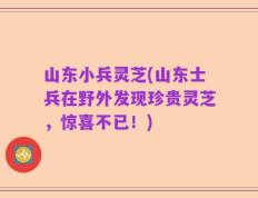 山东小兵灵芝(山东士兵在野外发现珍贵灵芝，惊喜不已！)